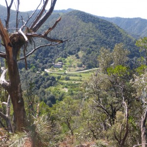 Paysage de la Vallée Française
