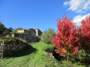 La maison en automne