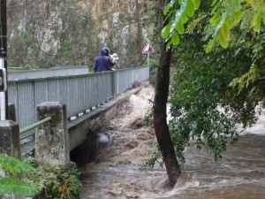 Pont de Falguières oct.215