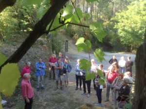 IMG_0877 (2)